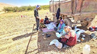 Iranian mothers work in the fields to help the family, earthy and unassuming mothers