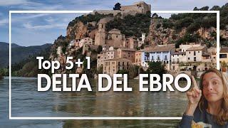 ️ DELTA DEL EBRO: Top 5 (+1) qué ver y dónde alojarse - Catalan Ways