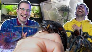 Tobi zeigt Tobi seine Haustiere.. + MEERWASSERAQUARIUM + TERRARIEN (Achtung Spinnen!!)