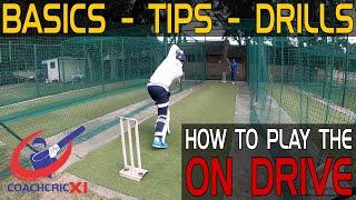 How to play the ON DRIVE | Cricket Batting Technique | Cricket coaching