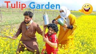 Tulip Garden | Kashmiri Funny Drama