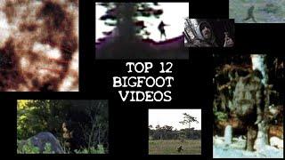  BIGFOOT SASQUATCH AI ENHANCED 2023 Famous & BEST Video Footage OF ALL TIME COMPILATION ANALYSIS 