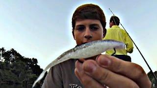 How to fish a fluke(Soft Jerkbait) | TylersReelFishing