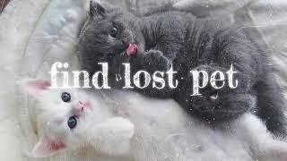 find your lost pet subliminal