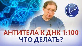 Антитела к ДНК (антинуклеарные антитела) 1:100. Что делать? Отвечает Гузов И.И.