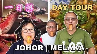 Melaka & Johor Day Tour | 马六甲和柔佛一日游 | TANGKAK | MUAR | JONKER WALK | TEMPLE | FOOD | SHOPPING