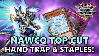 NAWCQ Top Cut Most Played Hand Traps and Side Deck Staples! | Post INFO (Infinite Forbidden)