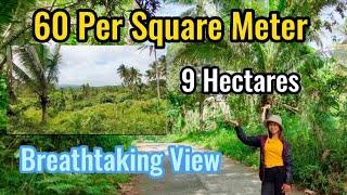 #Vlog04 | 9 Hectares | 60 Per Square Meter | Affordable Farm | Breathtaking View | DIRECT TO OWNER |