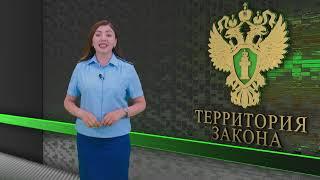 Территория закона / 01.07.2024