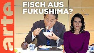 Fukushima: Wenn Sushi zum Politikum werden | Mit offenen Augen | ARTE
