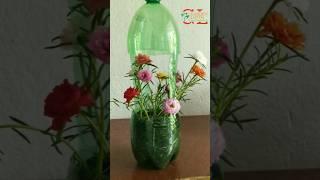 Recycle plastic bottles to make a balcony hanging garden to grow Portulaca (mossrose)