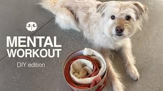 THE TOWEL SWIRL - DIY Mental Workout for Dogs