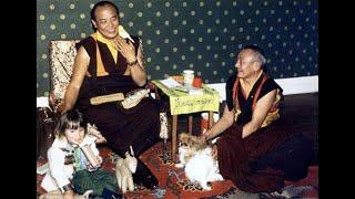 Das Leben des 16. Karmapa