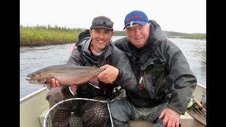 Labrador Brook Trout Sipping Mayflies