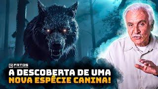 O misterioso animal híbrido encontrado nas estradas do Rio Grande do Sul