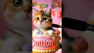 HAPPY BIRTHDAY SUTTON | HAPPY BIRTHDAY SONG WITH NAMES | Adorable Cute Cat   #happybirthday #cat