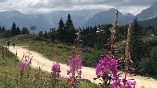 VELIKA PLANINA,THE FAMOUS MOUNTAIN IN SLOVENIA,EUROPE ,MY FIRST TIME VISIT PART 1