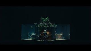 SawanoHiroyuki[nZk]:Anly『Tranquility』Music Video YouTube EDIT