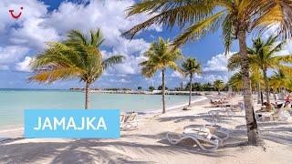 Hotel Riu Palace Jamaica 5* | Jamajka z TUI Poland