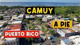  Una Peña, Mucha lluvia, Calor y Café en Camuy A Pie   4K