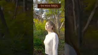 대한민국 자연 여행지, 걸어서 자연속으로 Korea Nature Travel