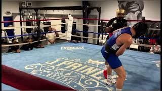 SHAKUR STEVENSON STOPS SPARRING PARTNER IN NEW LEAKED SPARRING SESSION! #boxing #boxeo