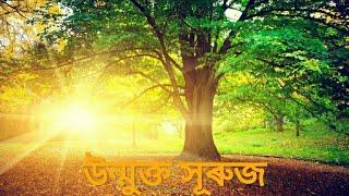 Unmukta Xuruj || Rituparna Rabha || Manash Pratim , Mamoni Kalita , Manoj Rabha || New Assamese Edm