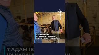 Жапонның соңғы технологиялары жолда қалады. Мына видео интернетті жарайын деп тұркүлкіден өлдік 