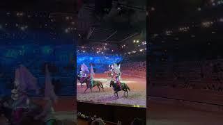 Dolly Parton Stampede Show Pigeon Forge #shorts