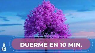 Meditación Guiada para Dormir en 10 minutos