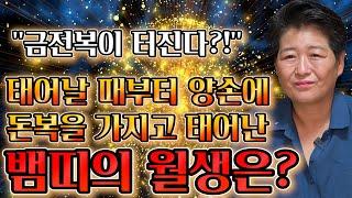 태어날때부터 돈복을 가지고 태어난 뱀띠는 몇월생?! / 2023년 계묘년 뱀띠운세 대박난다! 뱀띠에게 생길 큰 변화들 [53년생 65년생 77년생 89년생 뱀띠운세]
