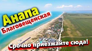 #Анапа ВОДА СВОДИТ С УМА! ДИКИЕ ПЛЯЖИ БЛАГОВЕЩЕНСКОЙ - Я НАШЁЛ ЧИСТОЕ МОРЕ БЕЗ ЛЮДЕЙ!