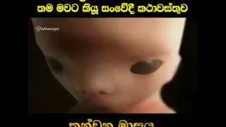 ගබ්සාවට පෙර සිඟිත්තා කියූ කථාව