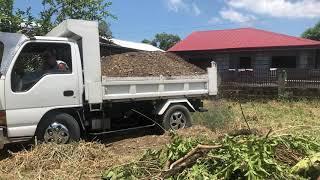 Isuzu mini dumptruck