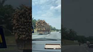 Final destination 
