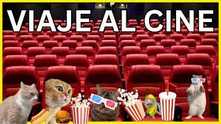 CAT MEMES: VIAJE AL CINE