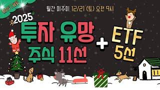 [월간 미주미 + 주말 라이브]  '매그 7 제외' 2025 투자유망 미국주식 11선 + ETF 5선  #장우석 #이항영 #미주미