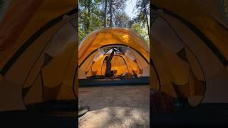 ️ Unlock the Secrets of Tent Camping: 6 Insider Tips | Campsite Classes