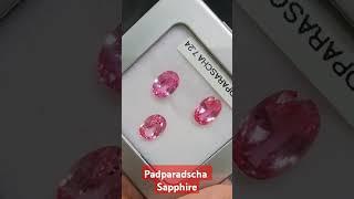 padparadscha sapphire natural no heat #gemstones #rare #collectiblegems #amazing