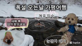 143)폭설 오는 설날 가평으로 가족여행 갔습니다 #애견동반펜션 #폭설 #말티푸 #가평여행