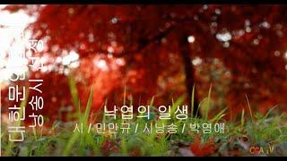 민만규 / 낙엽의 일생 / 시낭송 / 박영애 (낭송시 선정) / 대한문인협회 / 대한시낭송가협회