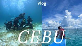 [VLOG] Cebu V Log with the sea | Scuba Diving | Cebu Restaurant | One Piece Dive Resort | Cebu