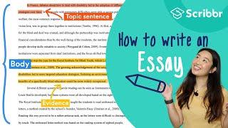 How to Write an Essay: 4 Minute Step-by-step Guide | Scribbr 