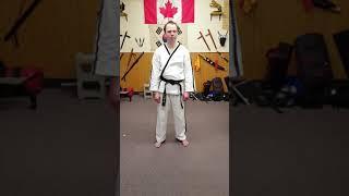 That Tae Kwon Do Guy  Episode 2