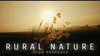 RURAL NATURE | ALAM PEDESAAN | CINEMATIC VIDEO