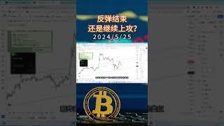 BTC触底反弹，再收355%收益