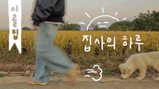 고양이과 강아지가 함께하는 집사의 하루 일과 / 화연씨네 시골집 vlog