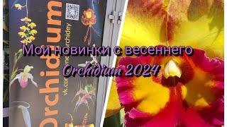 Обзор моих новых орхидей с Orchidium 2024#обзор#orchid#plants#орхидеи#цветы