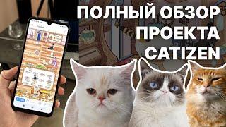 Проект CATIZEN, что это такой и как сделать быстрый старт (подробный гайд)