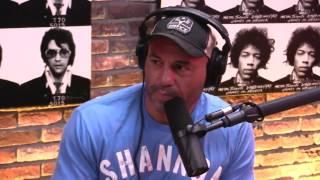 Joe Rogan breaks down who would win Gorilla vs  Grizzly Bear